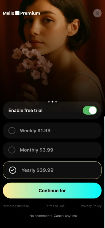 Meilo paywall example